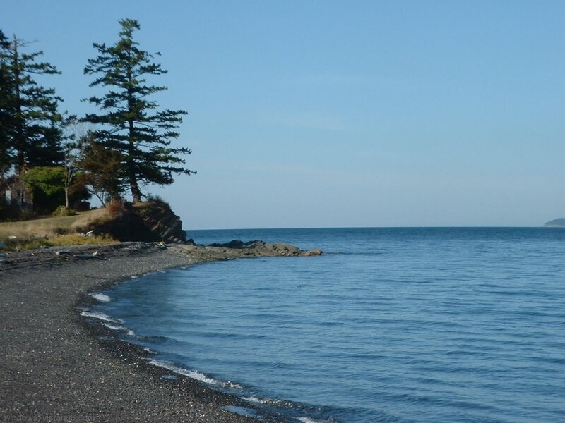 Pebble Beach with Trees