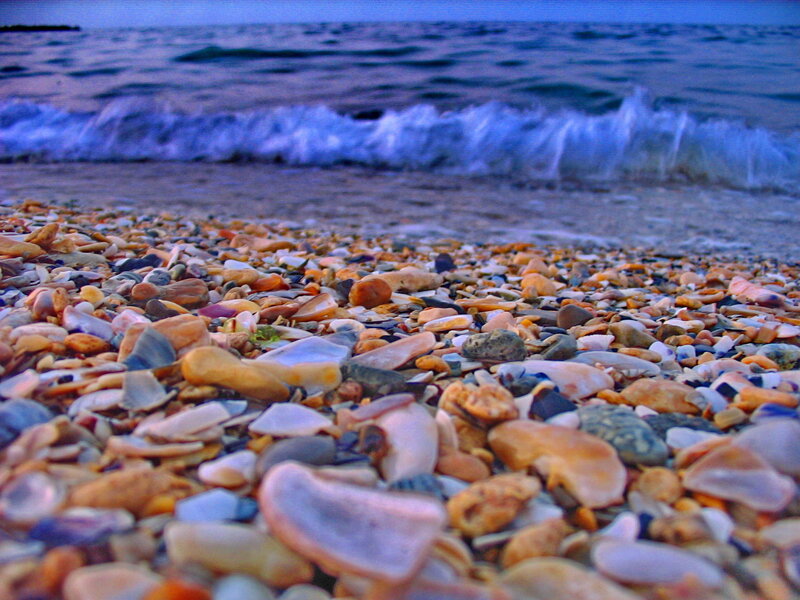 Pebble-covered Beach