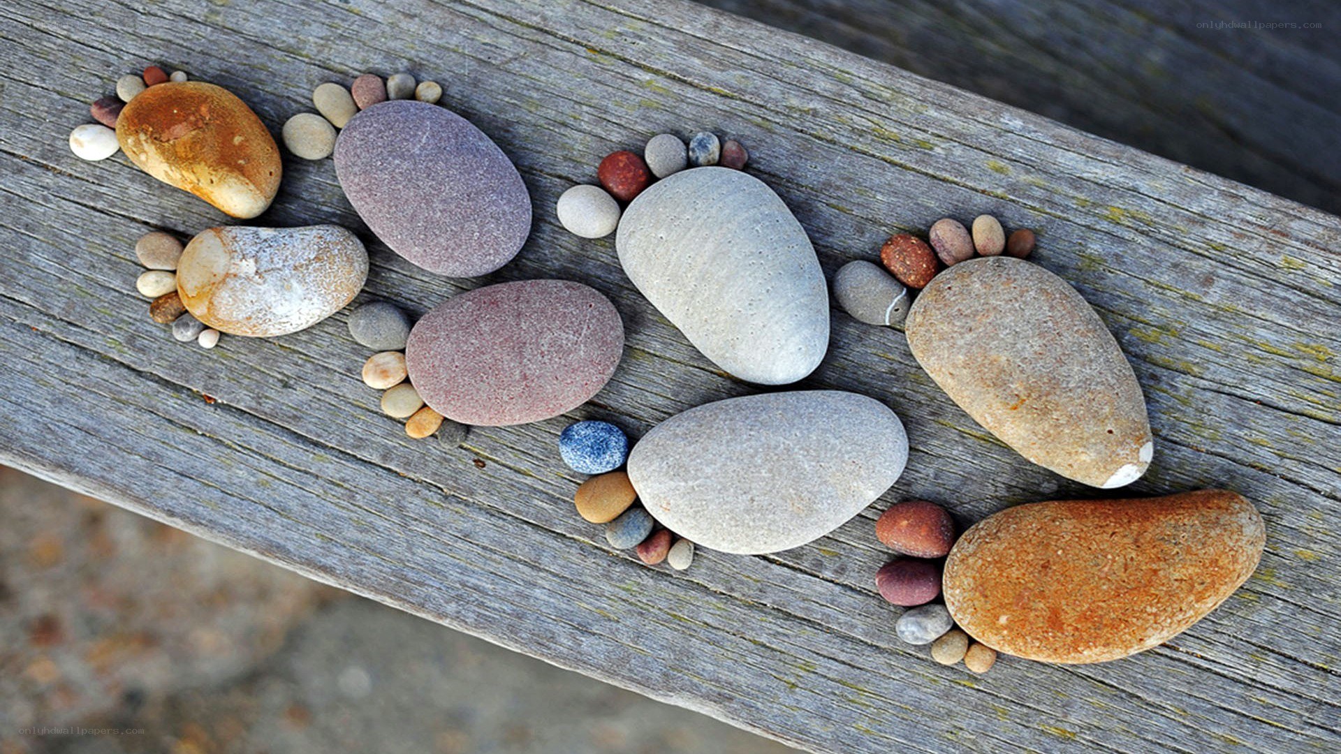 Pebble foot art on wood