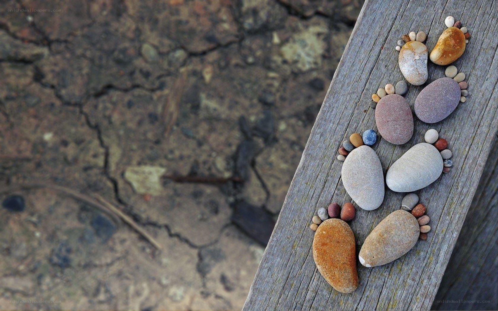 Pebble footprints on wood