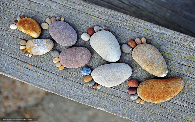 Pebble Footprints on Wood — Gray, Calm