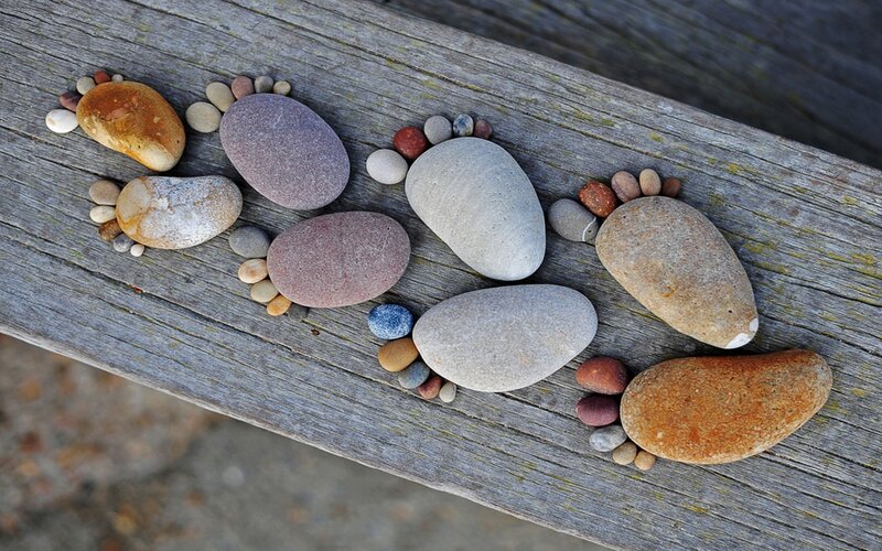 Pebble Footprints on Wood — Gray
