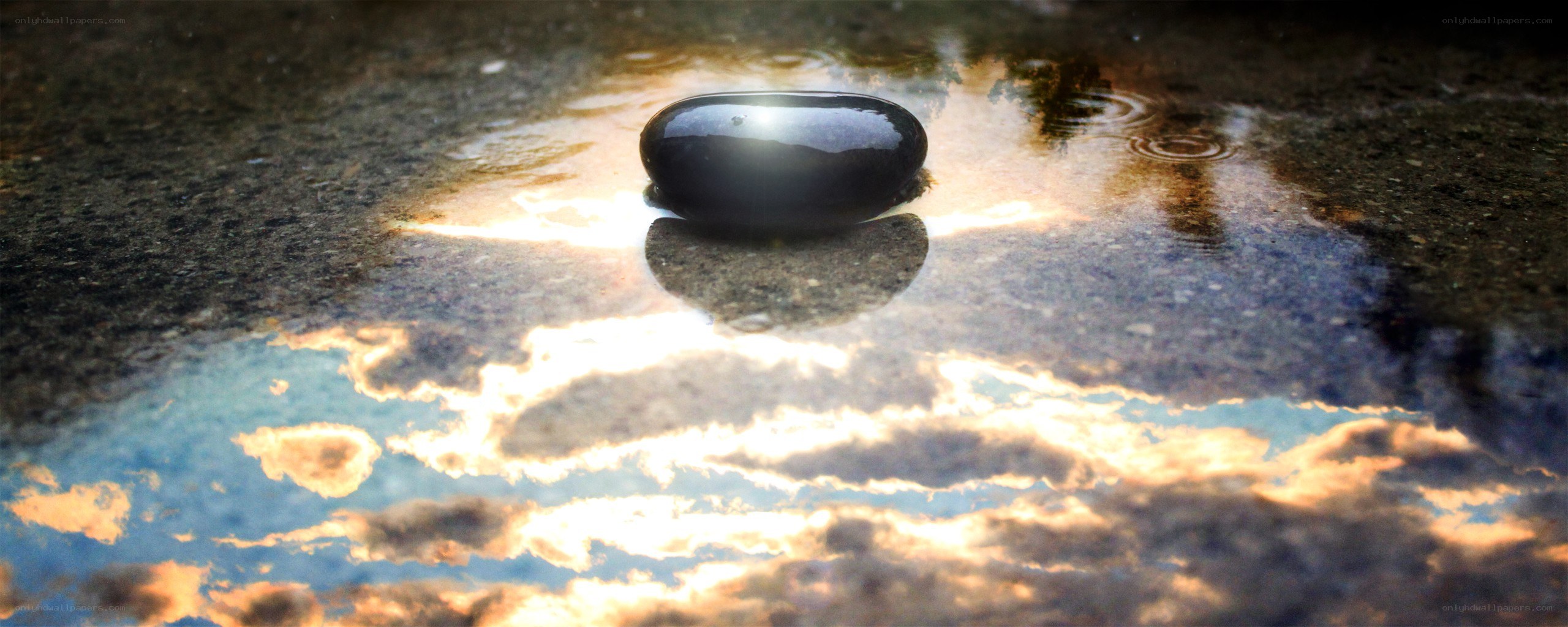 Pebble in a puddle at sunset
