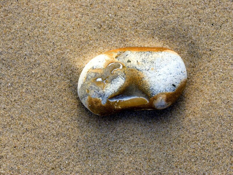 pebble on sandy beach