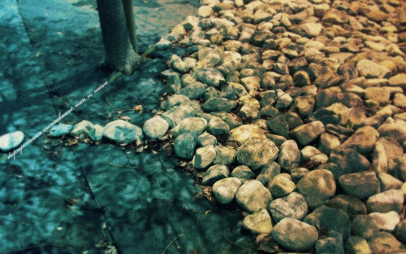 Pebble Path and Tree