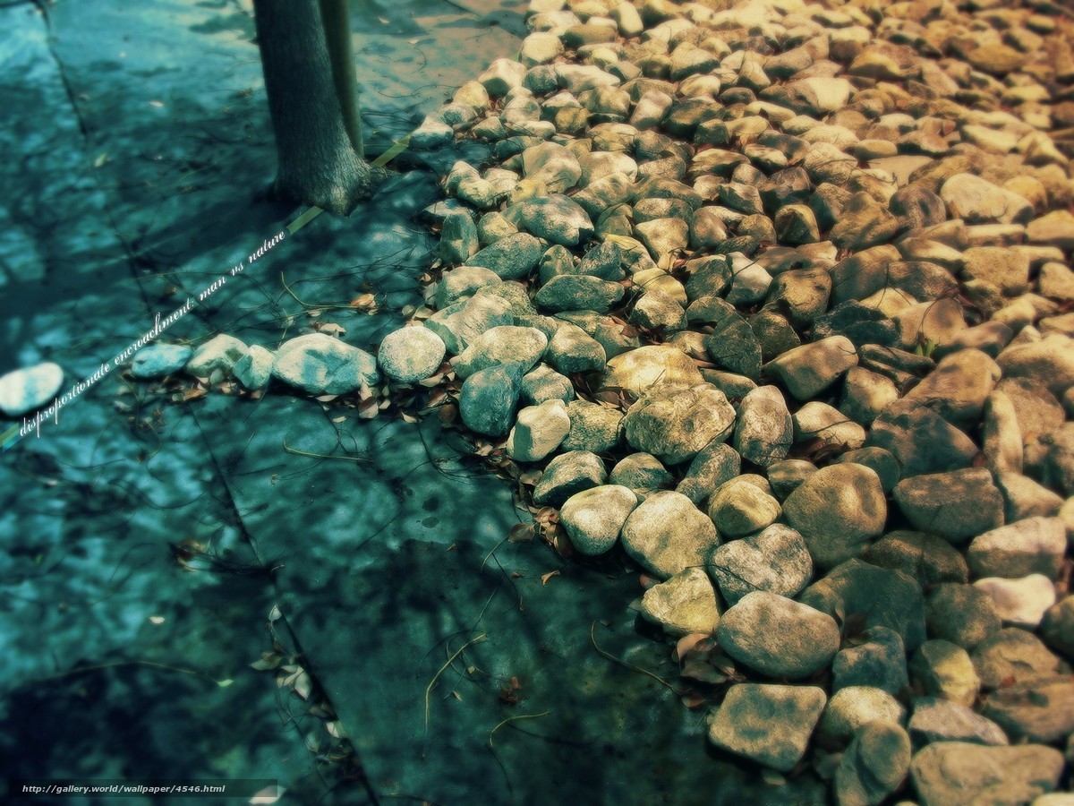Pebble path by water