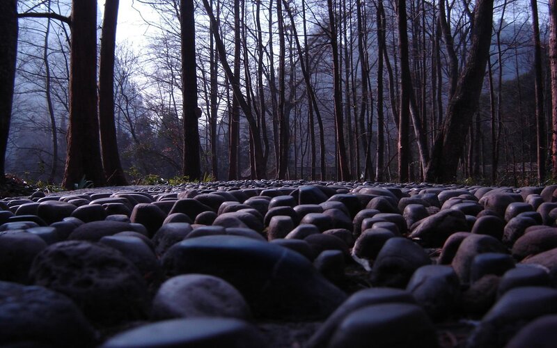 Pebble Path in Forest