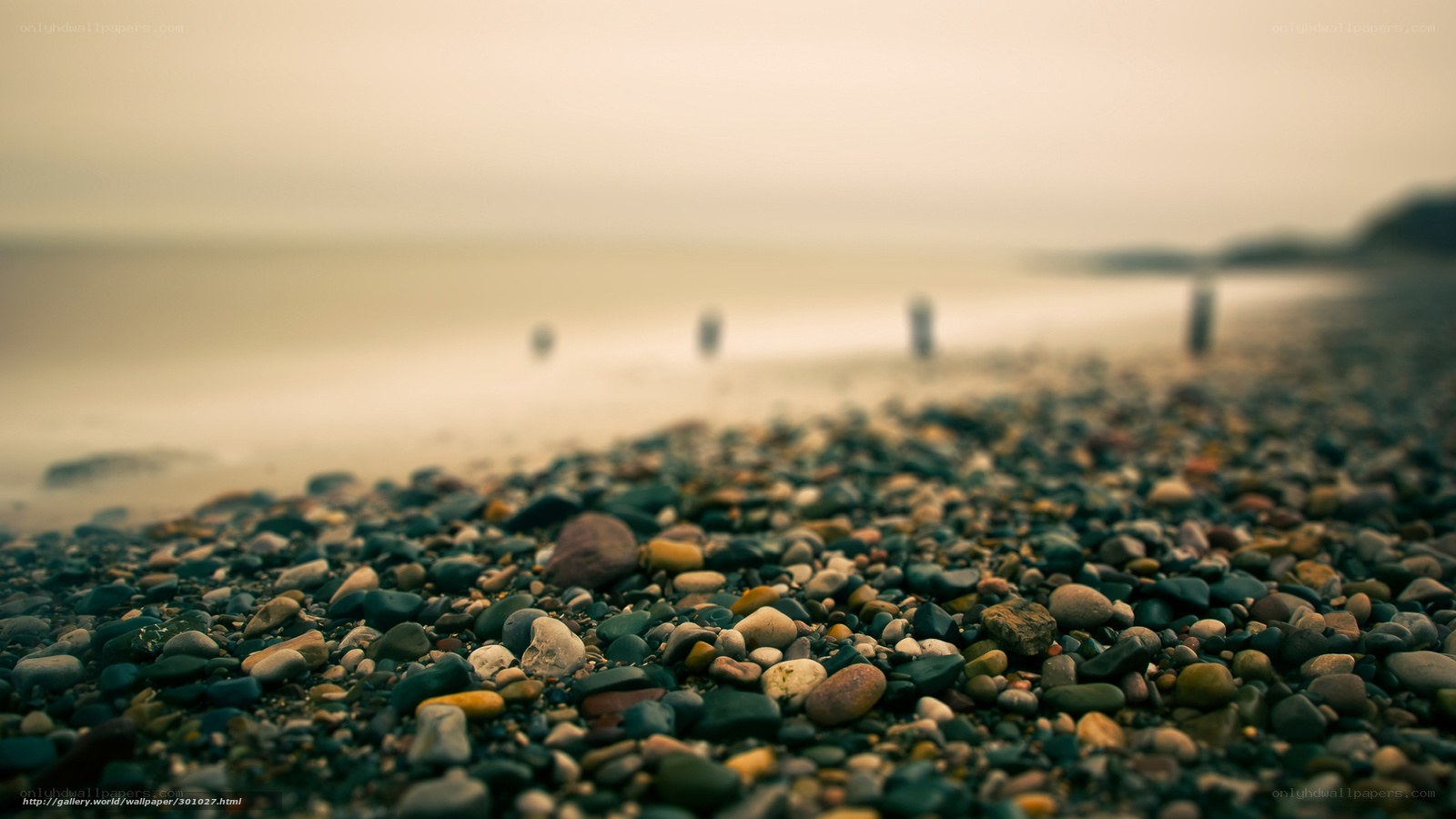 pebbled beach at dawn