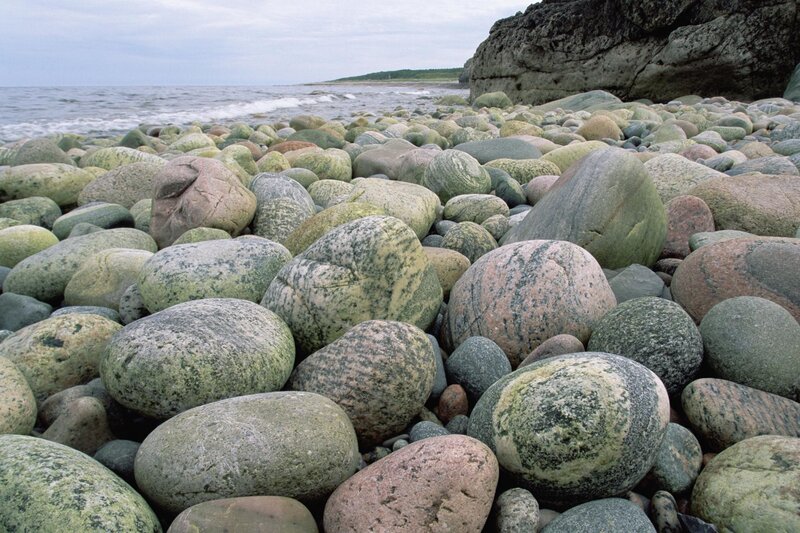 pebbled beach by the sea