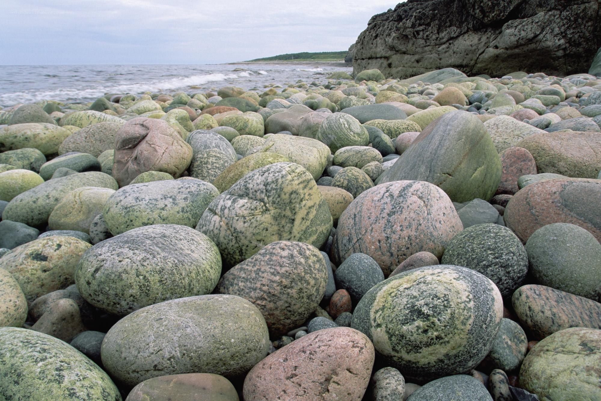 pebbled beach by the sea