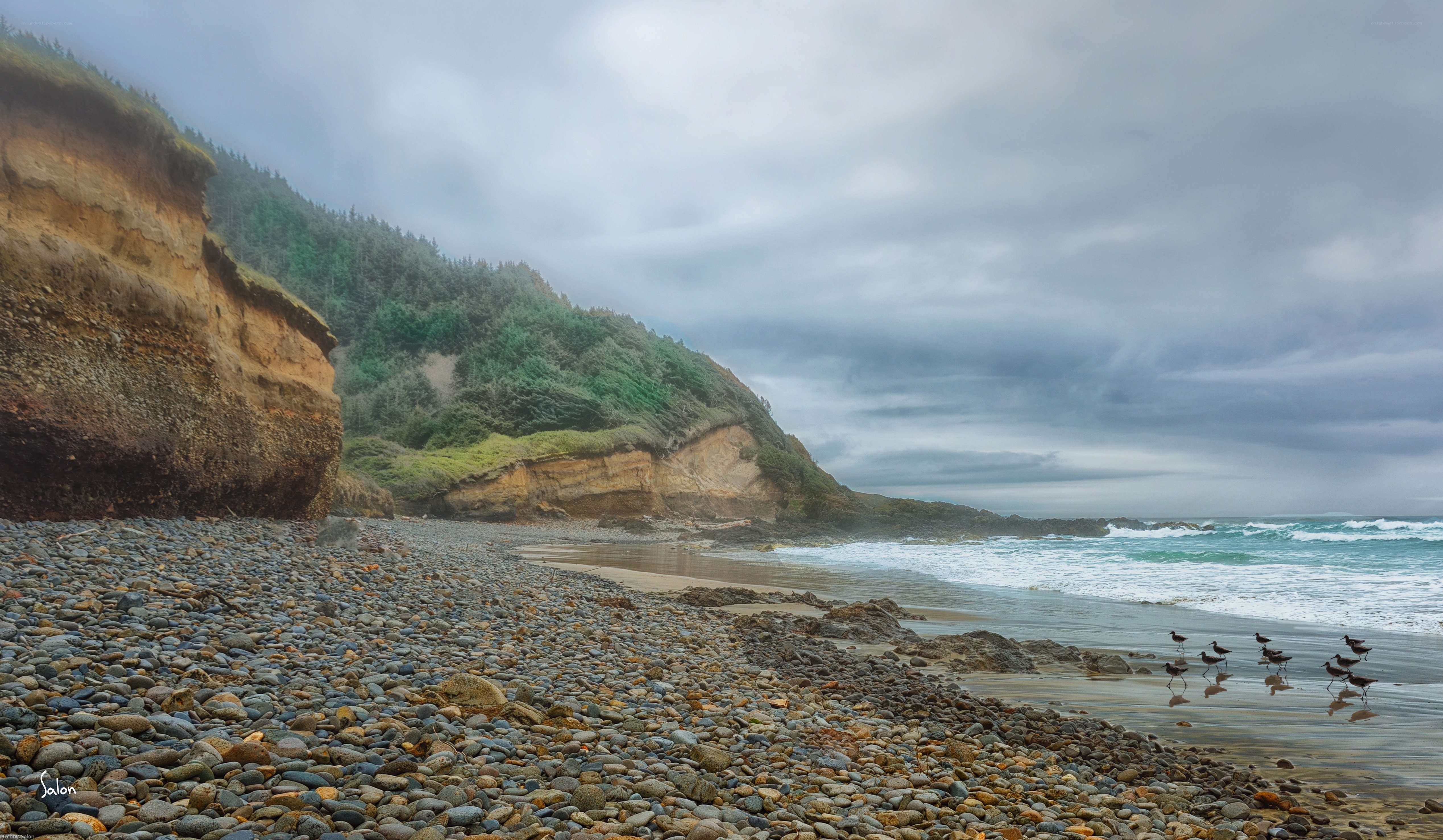 Pebbled beach with cliffs and birds