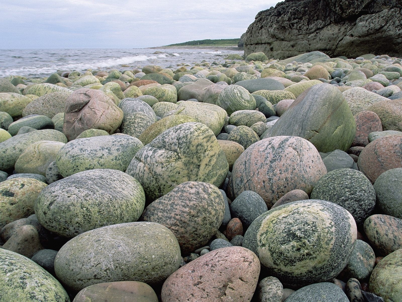 pebbled beach with ocean view