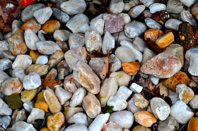 Pebbles and Leaves