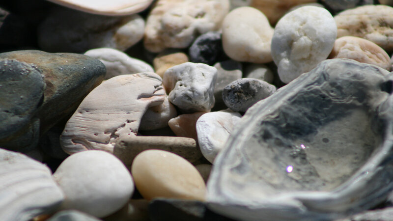 pebbles and shells on beach