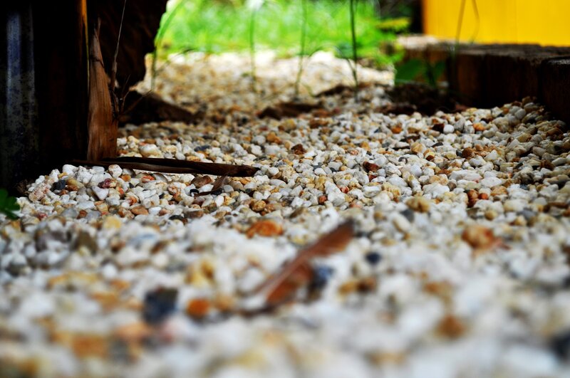 pebbles in a garden path