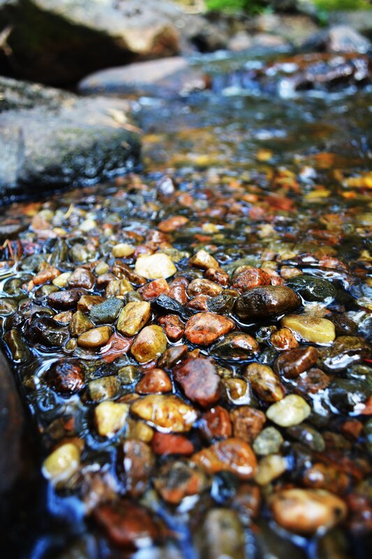 Pebbles in Stream