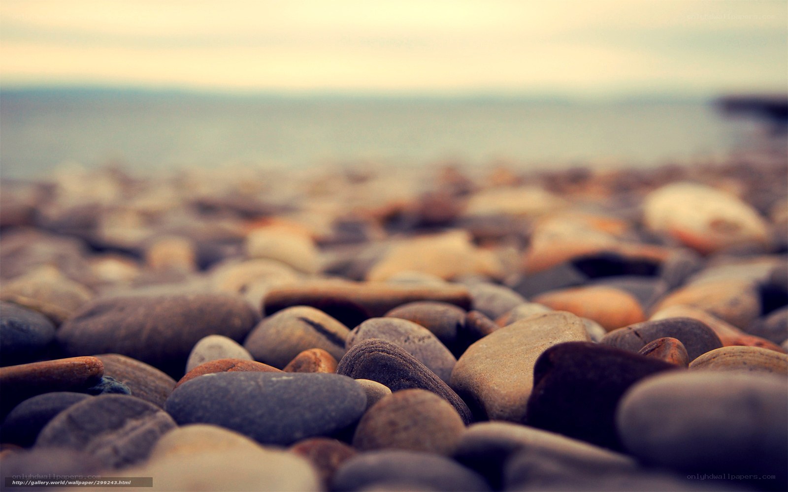 pebbles on a beach