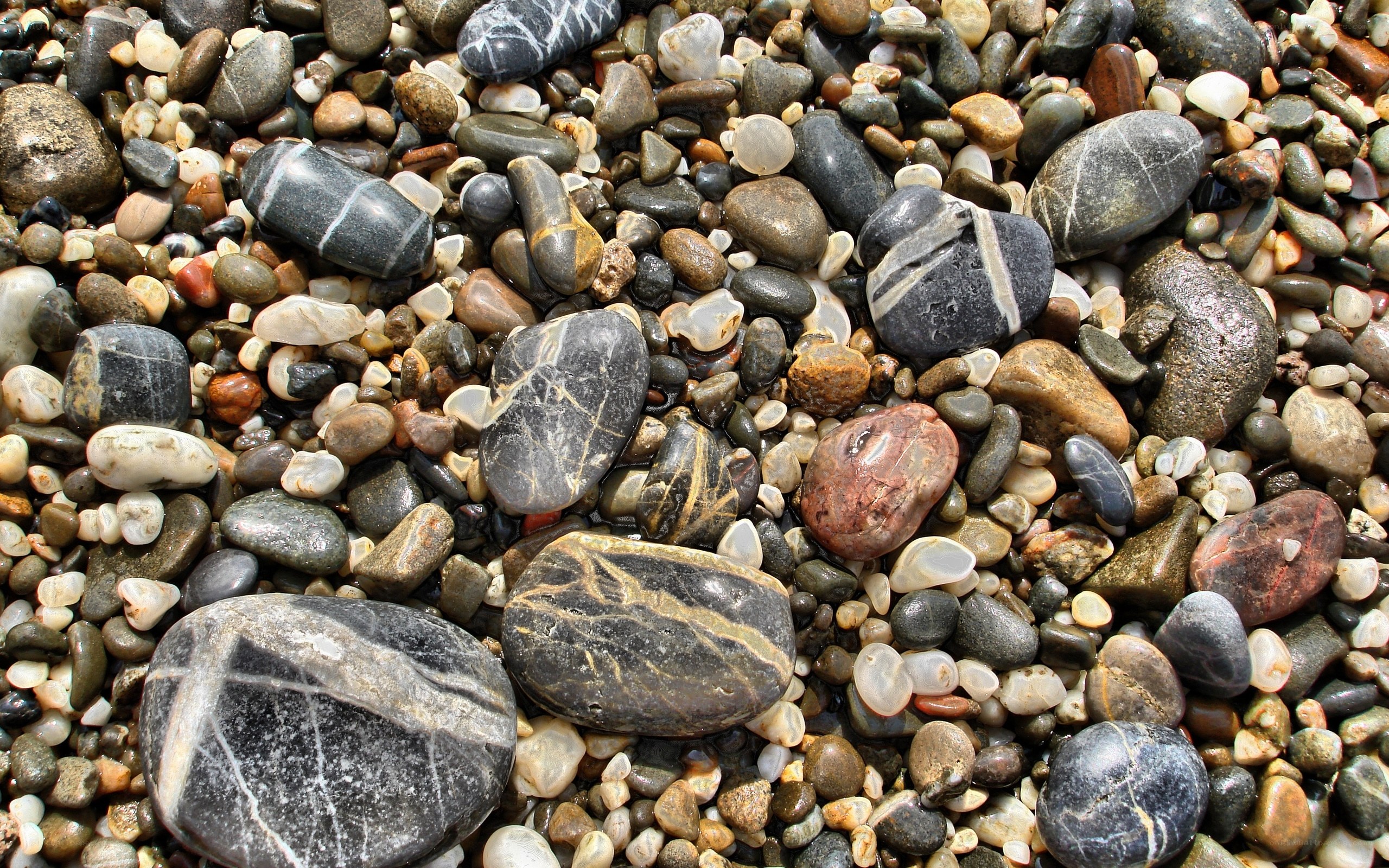 pebbles on a beach