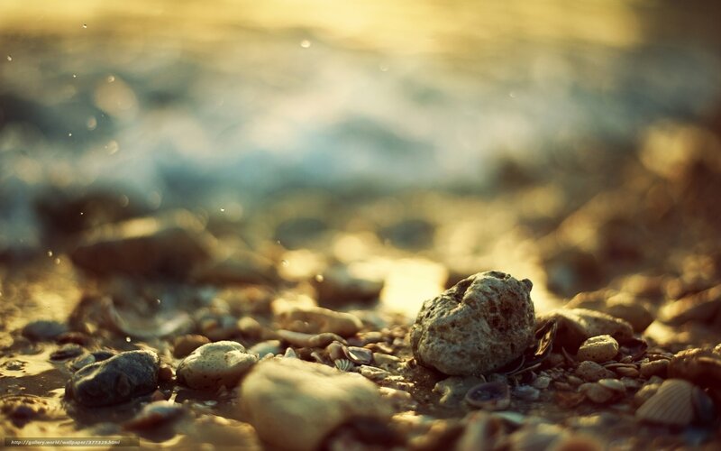 Pebbles on Beach — Gold