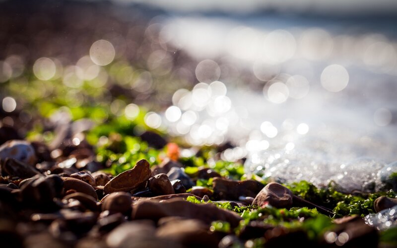 Pebbles on Seashore
