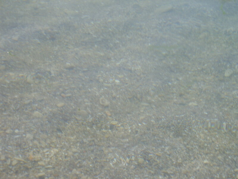 Pebbles under Water