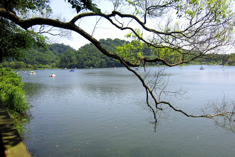 Pedal Boats on Lake — Green