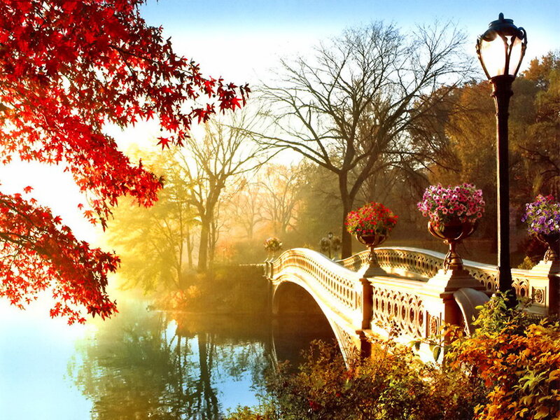Pedestrian Bridge in Park
