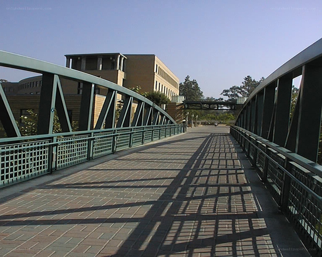 pedestrian bridge on campus