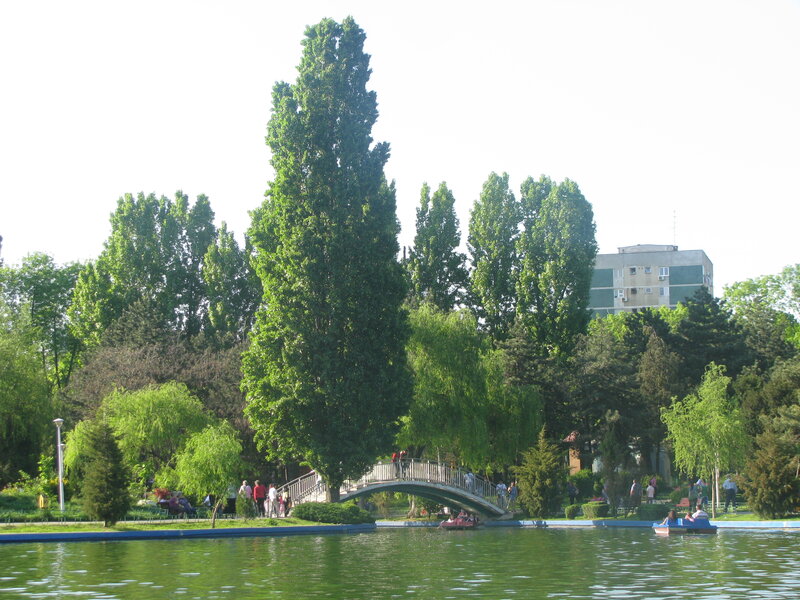 Pedestrian Bridge over Pond — Green