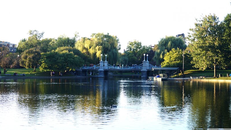 Pedestrian Bridge over Pond