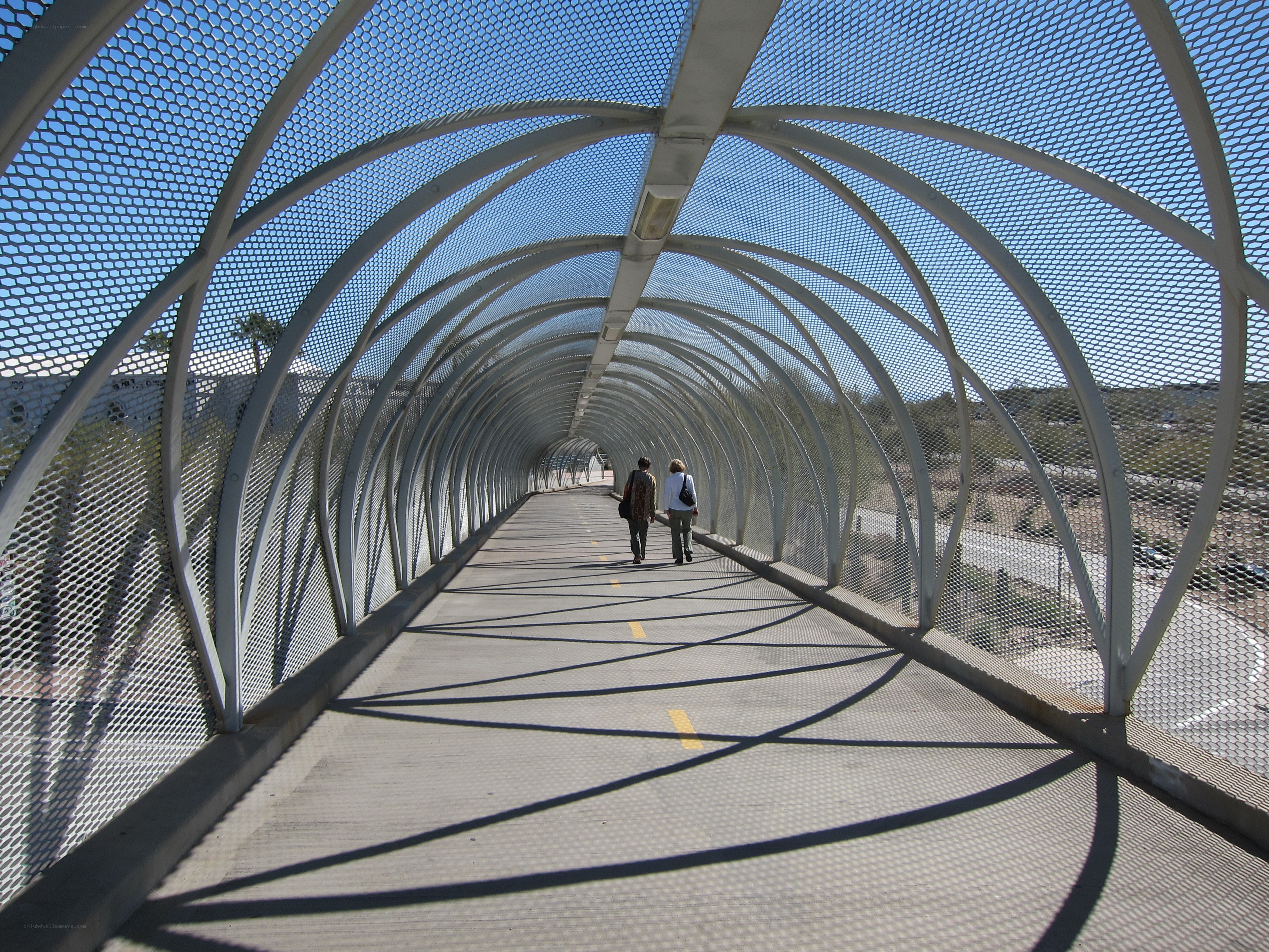 Pedestrian bridge with mesh tunnel