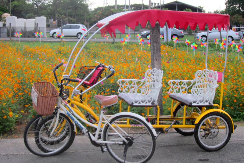 Pedicab in Flower Field