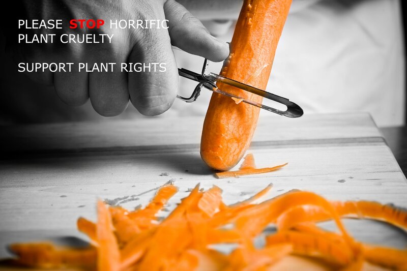 peeling a carrot with text