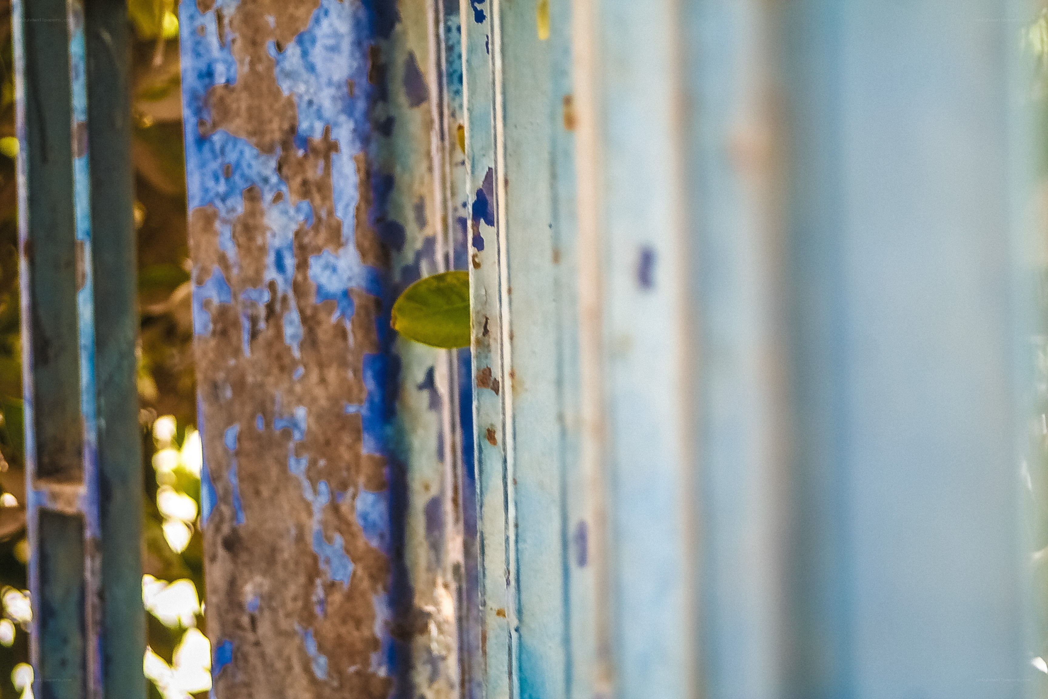 peeling blue paint on metal bars