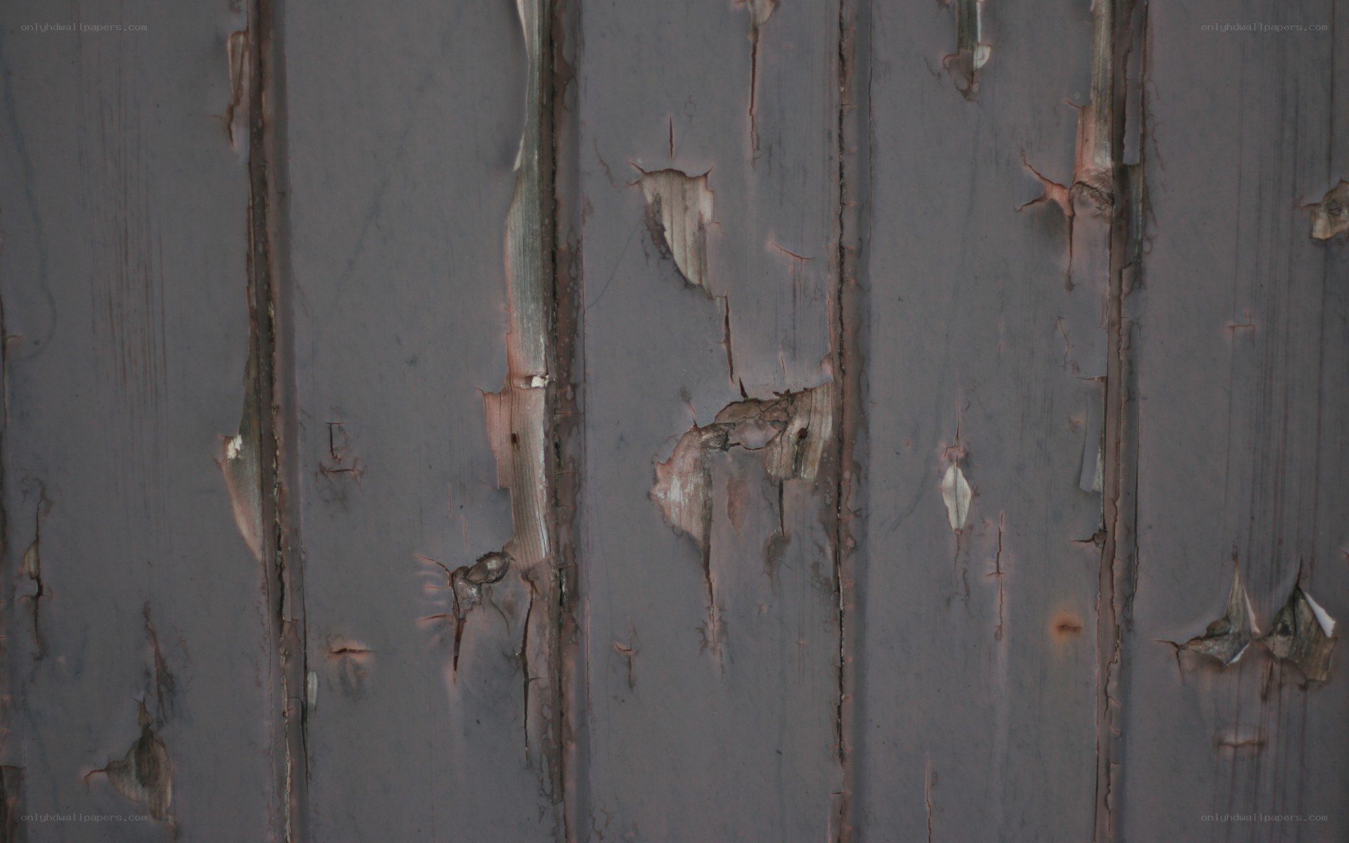peeling paint on wooden surface