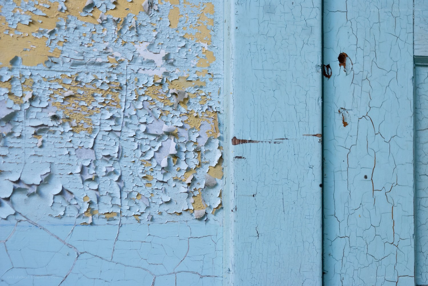 peeling paint on wooden surface