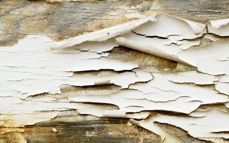 peeling white paint on wood
