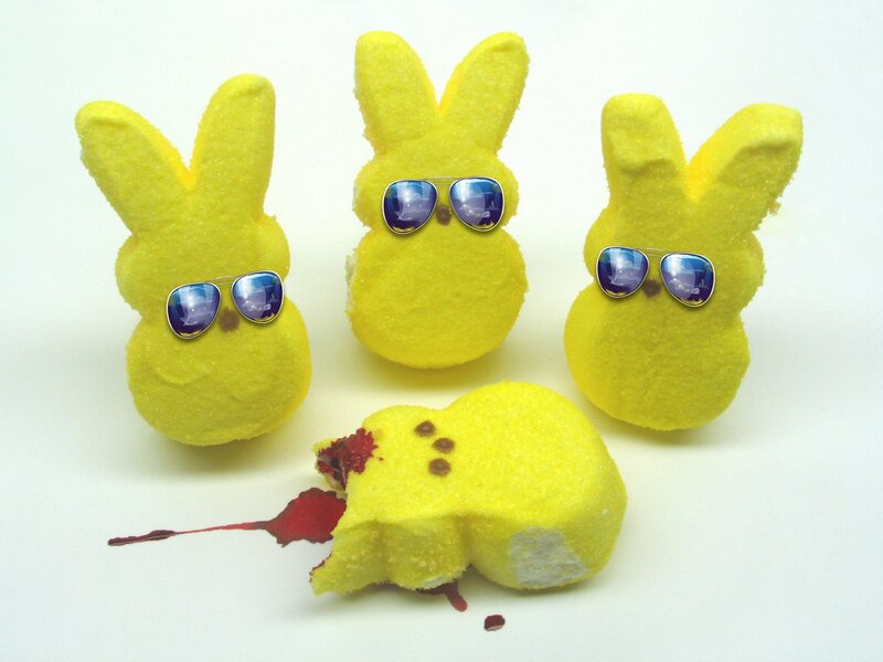 Peeps bunnies with sunglasses
