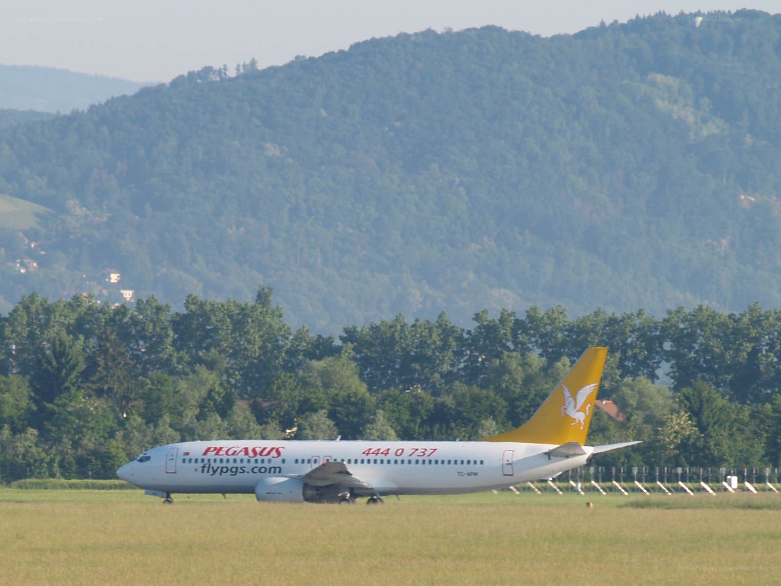 Pegasus Airlines plane on runway