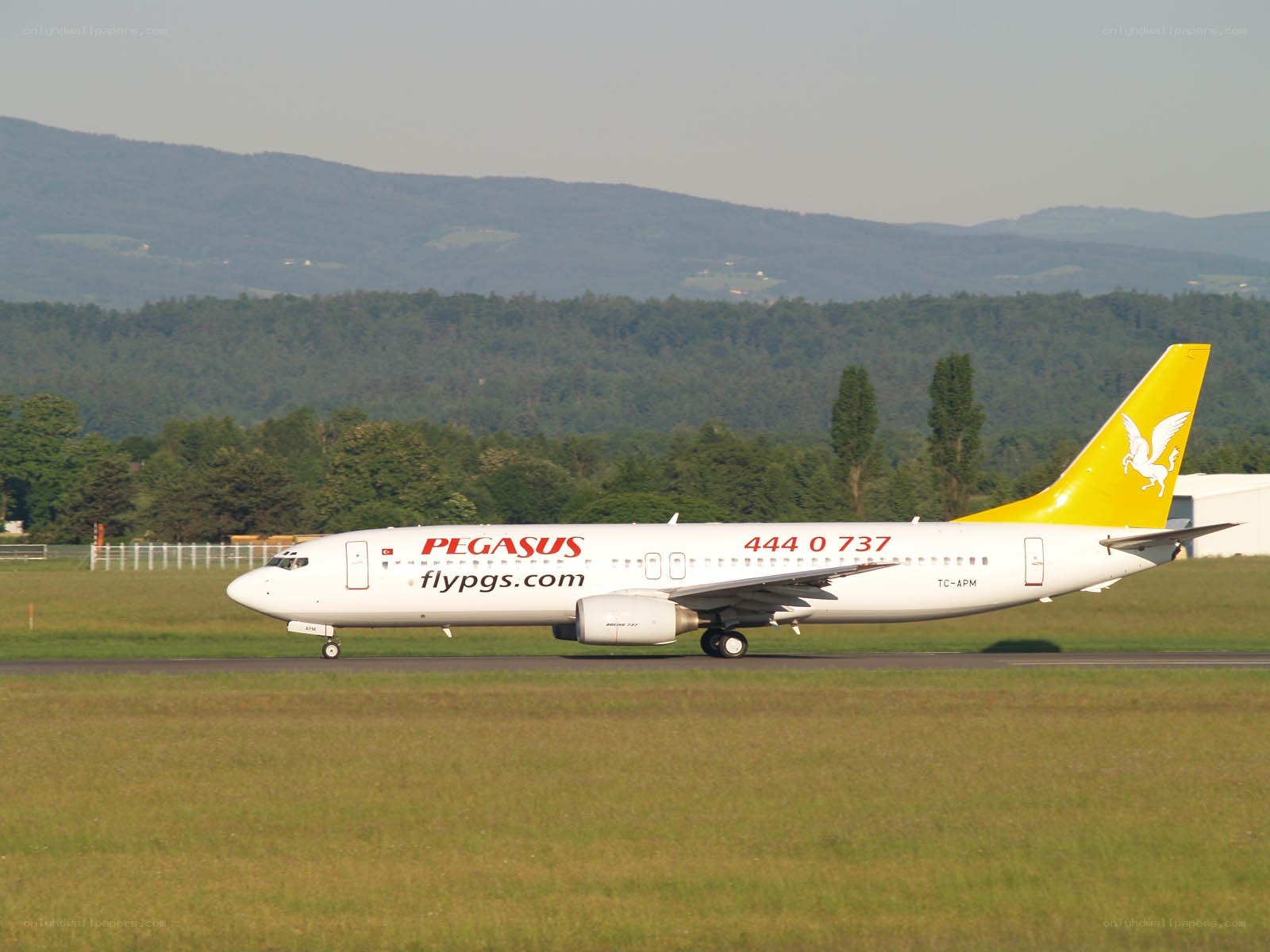 Pegasus Airlines plane on runway