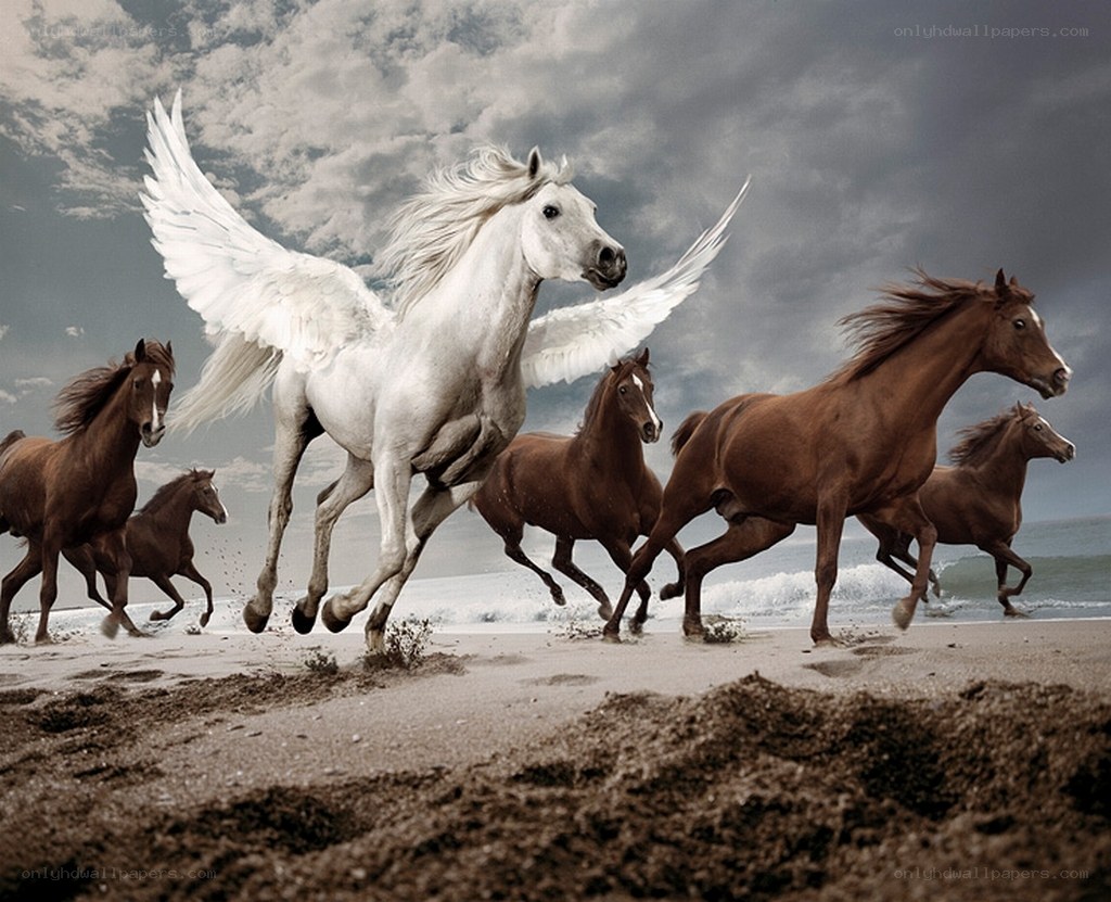 Pegasus and horses on beach