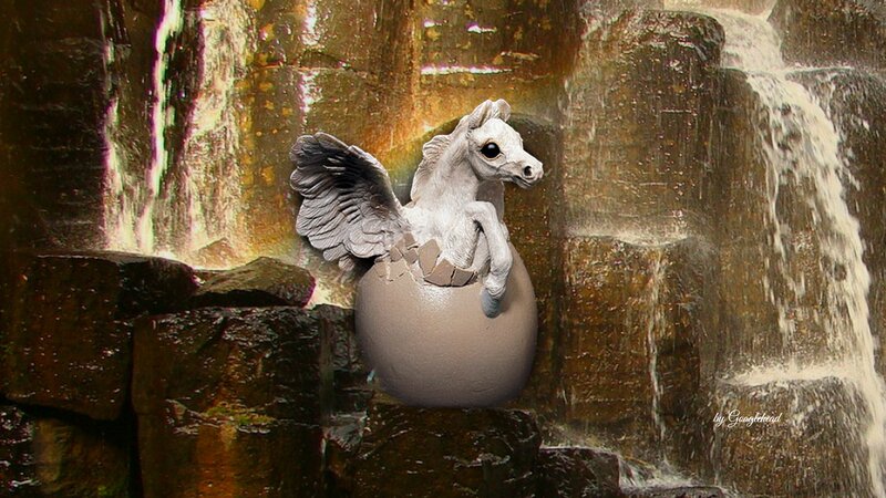 Pegasus Foal Hatching