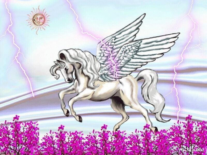 Pegasus in a field of flowers