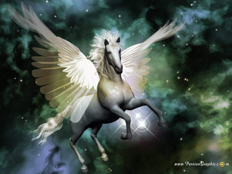 Pegasus in a starry sky