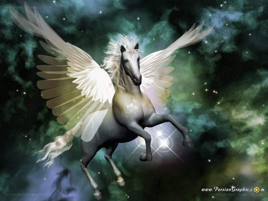 Pegasus in a starry sky