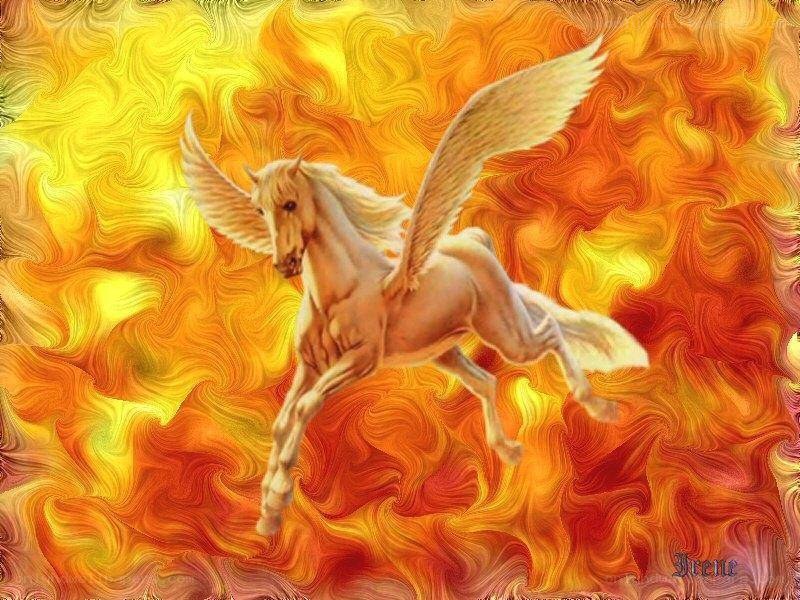 Pegasus in fiery sky