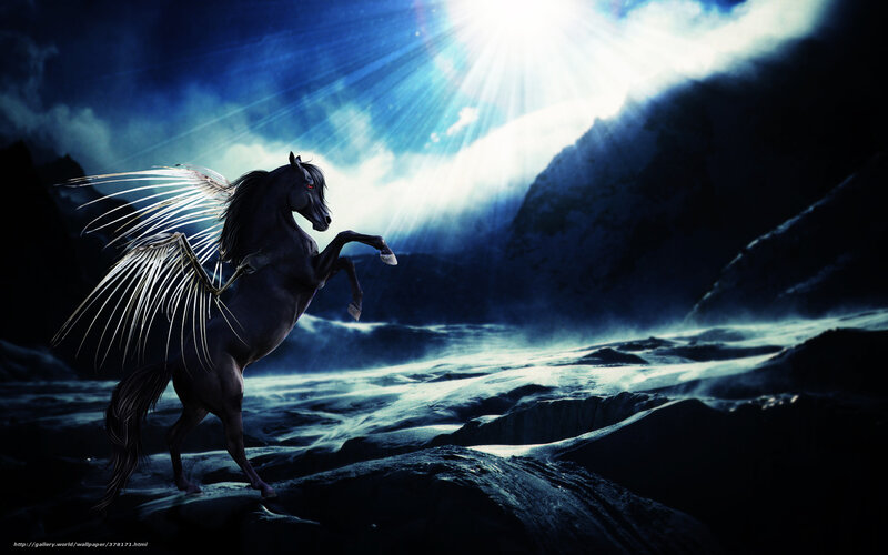 Pegasus in moonlight