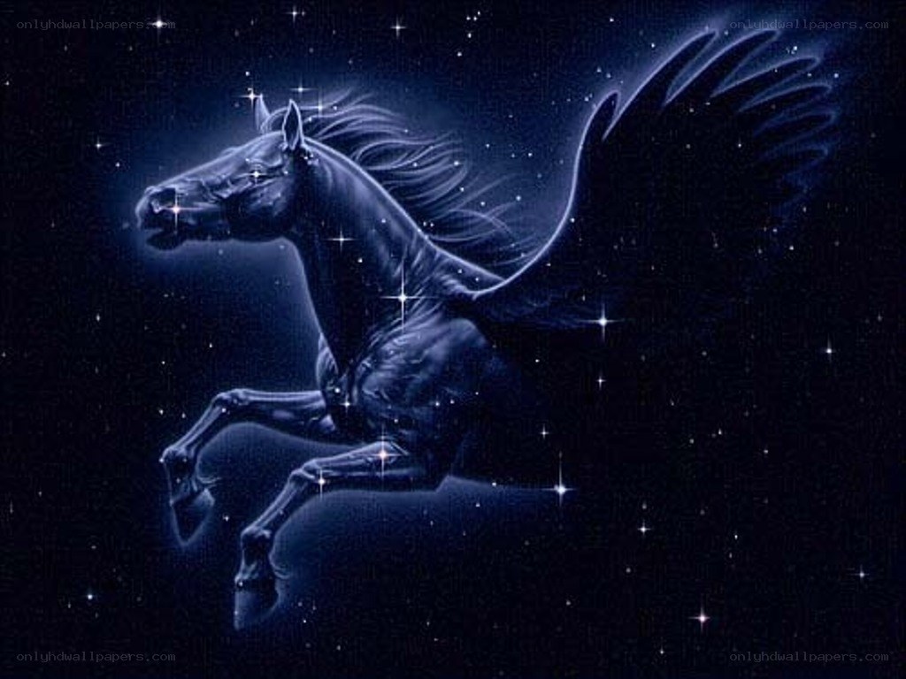 Pegasus in the starry night