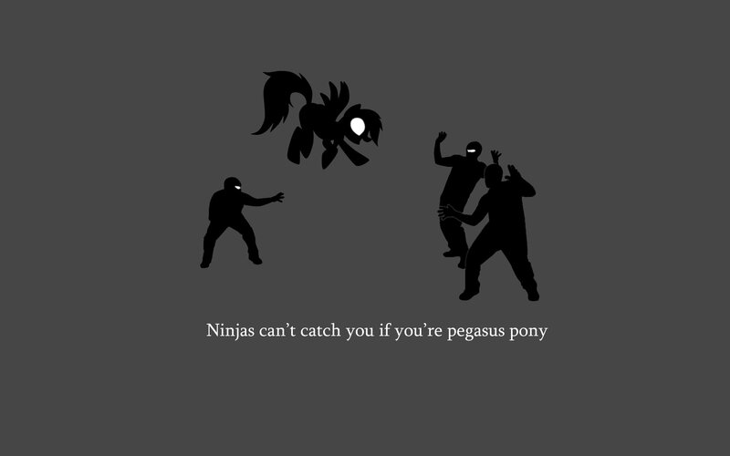 Pegasus pony vs ninjas