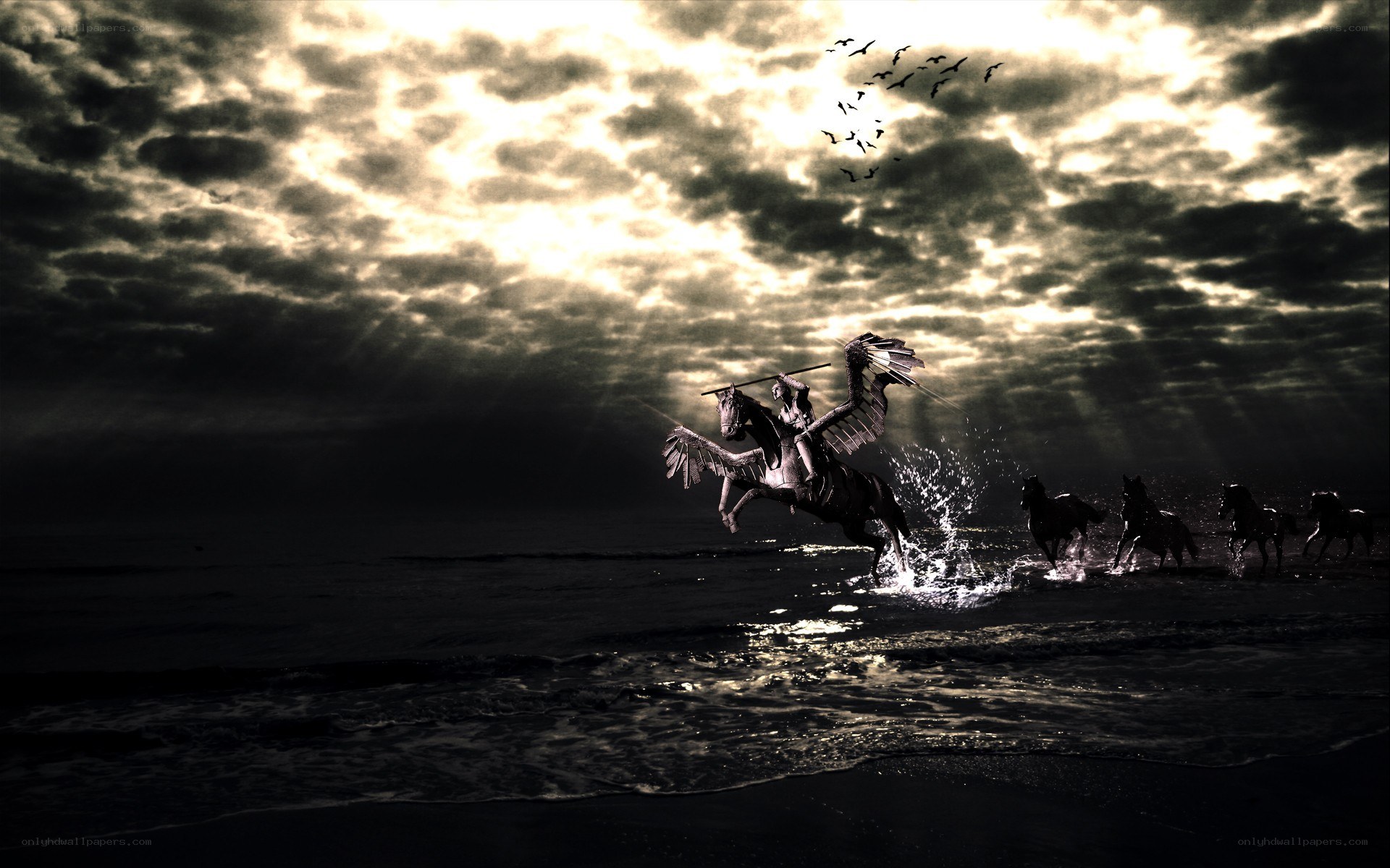 Pegasus rider on beach